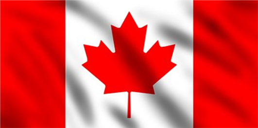 Red maple leaf on Canadian flag.