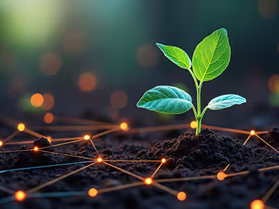 Plant emerging from the ground sustained by underground digital supports